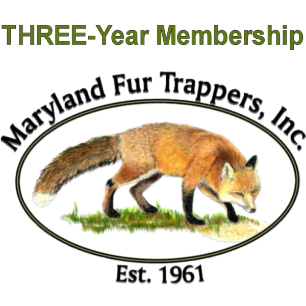 Three Year Membership