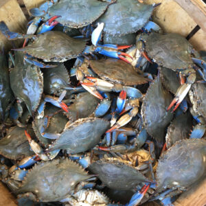 2024 Crab Feast