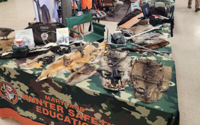 The Heritage of Fur Trapping in Maryland Showcased at Eastern Waterfowl Festival